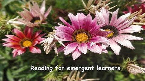 How to Use Commas Correctly in Dates and Addresses