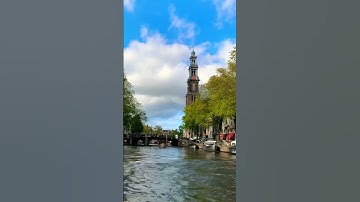 Canal boat cruise in Amsterdam  🛥️✨#amsterdam #travelvlog #cruisetime #shortsyoutube #shorts