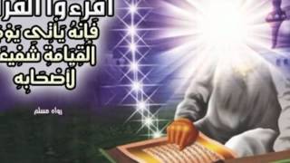 سورة الانعام كاملة - صلاح البدير - صوت كروان تلاوة خاشعة