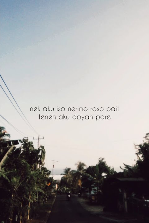 story wa!! - ojo nangis - (cover vivi artika)