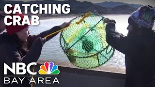 Bay Area residents catch own Thanksgiving meals with commercial crabbing delayed