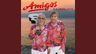 Video thumbnail of "Die Amigos - Schneeweißer Adler"