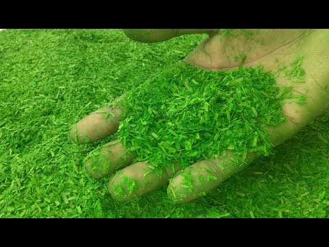 DIY Artificial Grass  How To Make Artificial Paper Grass At Home 