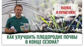 видео: Как подготовить почву осенью к следующему сезону? Эксперт Дмитрий Скотников картинка: Как подготовить почву осенью к следующему сезону? Эксперт Дмитрий Скотников