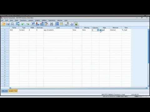 Introduction to Data Analysis with SPSS | Data Entry | Data Simulation ...