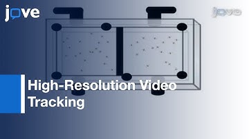 High-Resolution Video Tracking: Locomotion In Adult Drosophila Melanogaster l Protocol Preview