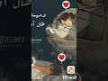 و ايه يعني م بينا بلاد حالات واتس و ايه يعني م بينا بلاد حالات واتس