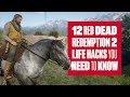 12 Red Dead Redemption 2 Life Hacks You Need To Know