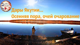 Осенняя Рыбалка В Якутии. Дары Осени.