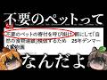 【物議】海外の動物園「不要なペットを肉食獣のエサにします」←はい？