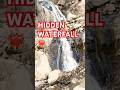 Waterfall + nature = full peace mode 😌😇 #waterfall #naturelovers #shortsfeed #youtubeshorts