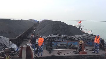 Bộ Tư lệnh vùng Cảnh sát biển 1 bắt giữ gần 3000 tấn than vi phạm