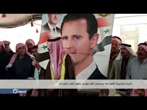 خاص أورينت شيخ عشيرة الفواعرة الجديد يصل حضن أسد بسيارات حسام القاطرجي مع 50 خروفا هدية