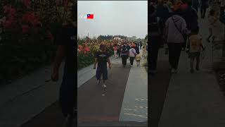 Hollyhocks Flowers  Yuanlin City Changhua  2026 new trending hollyhocksflowers