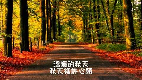 凤飞飞 温暖的秋天 - 天天要闻