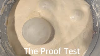 How to check if your sourdough is ready to bake, The Proof Test