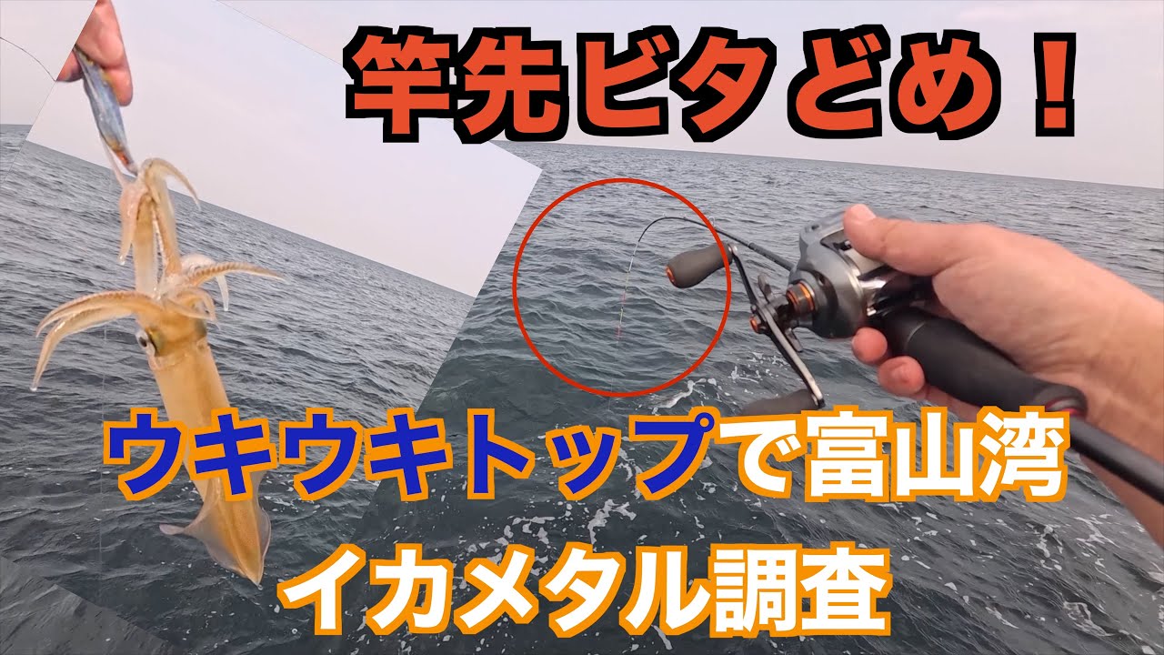 2025イカメタル】えび先生がウキウキトップで富山湾でイカメタル