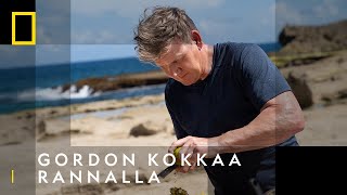 Gordon kokkaa kalaa Puerto Ricossa I Gordon Ramsayn makuseikkailut I National Geographic Suomi