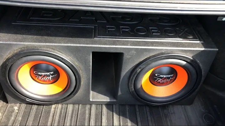 TWO BUDGET 12S FLEXING IN THIS TRUNK