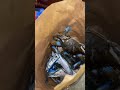 #funny #funnyprank #food #prankideas #youtube #comedy #cooking #funnyfails