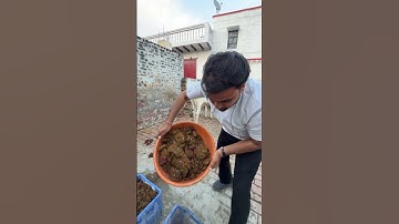 #vermicompost #compost #organic #vermicomposting #composting #sustainability #zerowaste