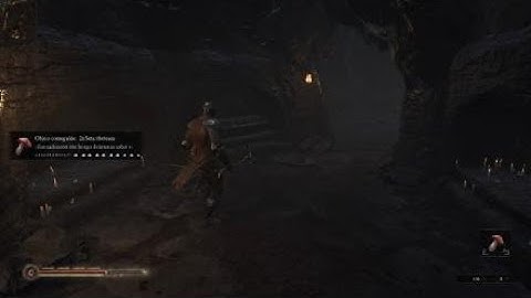 Mortal Shell Bug