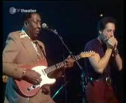 Muddy Waters plays Blow Wind Blow. This was probably live in 1976 in Dortmund, Germany. The band consists of Muddy Waters on vocal/guitar, Bob Margolin on Guitar, Willie "Big Eyes" Smith on drums, Jerry Portnoy on Harmonica and Luther "guitar" Johnson on guitar.