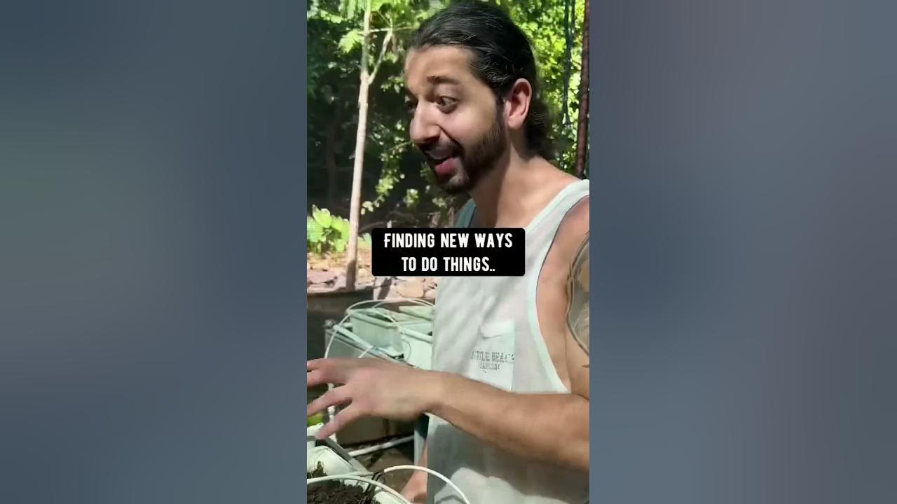 My 2nd OFFICIAL Book! creative explained YouTube