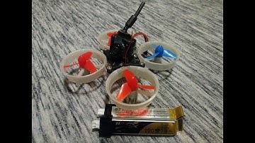 Beta65s/Tiny Whoop Free-Range