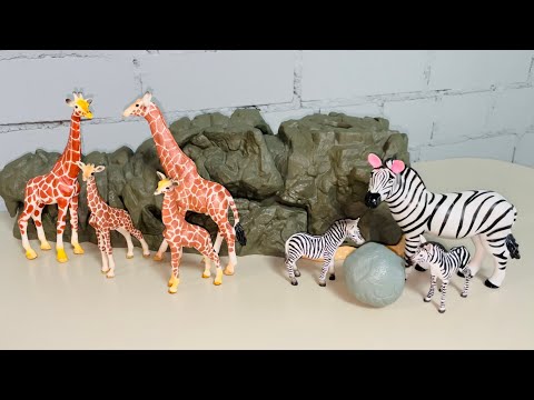 Video: Dijagnostički Izazovi U Veterinarskoj Praksi - Mislite Na Konje, A Ne Na Zebre