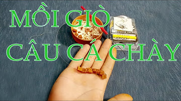 Cách buộc lưỡi và móc mồi giò câu cá Ngạnh | cá Chày | sông Hồng