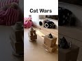 Cat wars
