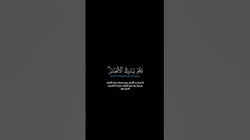 سورة الأنعام: الآية [١٠٣]# القرآن_الكريم_#الفرقان _#سورة_الأنعام _#محمد_اللحيدان _#قرآن_#قران_كريم