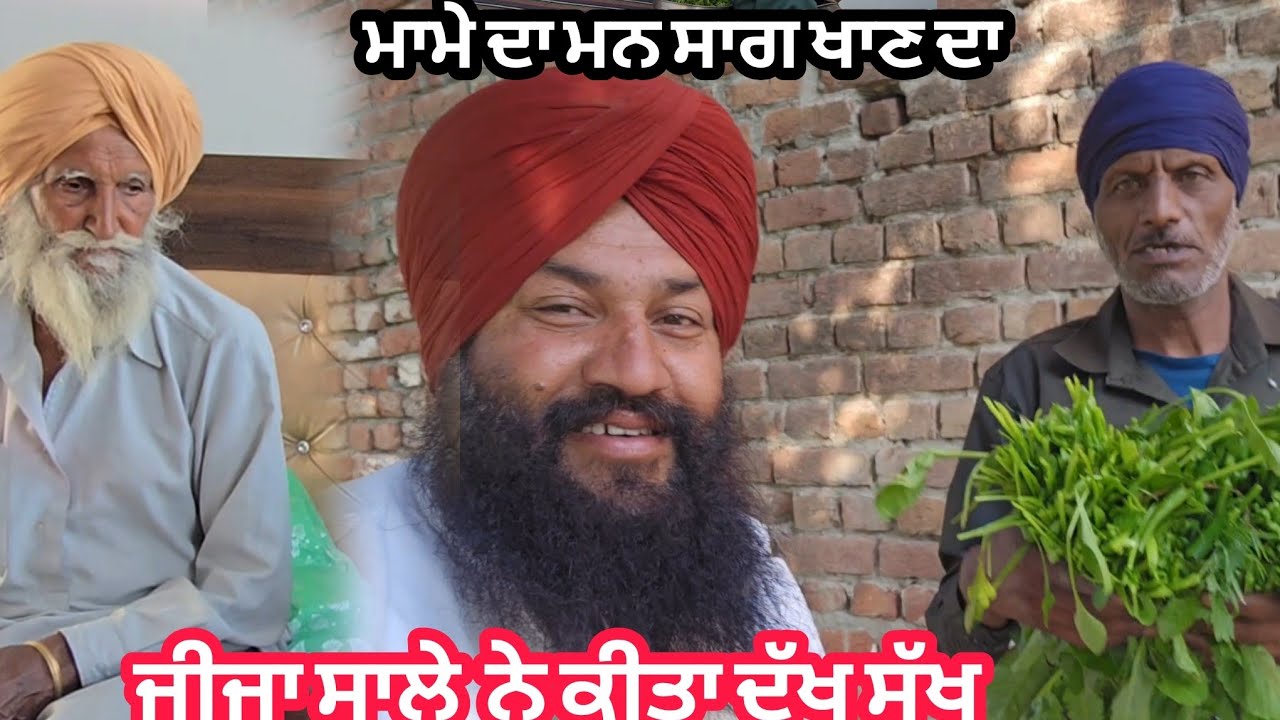 ਜੀਜੇ ਸਾਲੇ ਨੇ ਕੀਤਾ ਦੁਖ ਸੁਖ ਮਾਮੇ ਦਾ ਮਨ ਕਹਿੰਦਾ ਸਾਗ ਖਾਣਾ @karanmahalvideo 