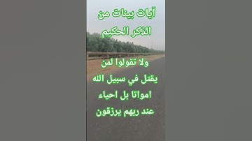 آيات بينات من الذكر الحكيم #قرآن #اكسبلور #quran #تيك_توك #لايك #explore #قران #trending #like #ترند