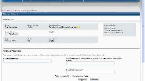 Portal Team Website - Manage Team Account