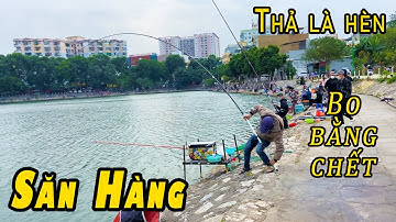 59. Săn Khuyên "Wave Alpha" tại hồ rộng 2,5 Ha - Nước sâu - Cá khỏe !!! Bo bằng chết