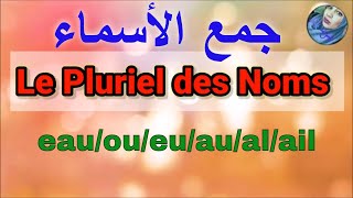 Le Pluriel des Noms --شرح بالعربية -جمع الأسماء