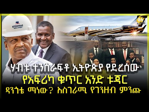 ቪዲዮ: ሥዕሎች በፍቅር፣ በተፈጥሮ እና በገጠር እስከ ጫፍ ተሞልተዋል።