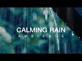 Calm & Gentle Rain Sounds | Relaxing Ambience for Sleep | Mediation | Focus | Study