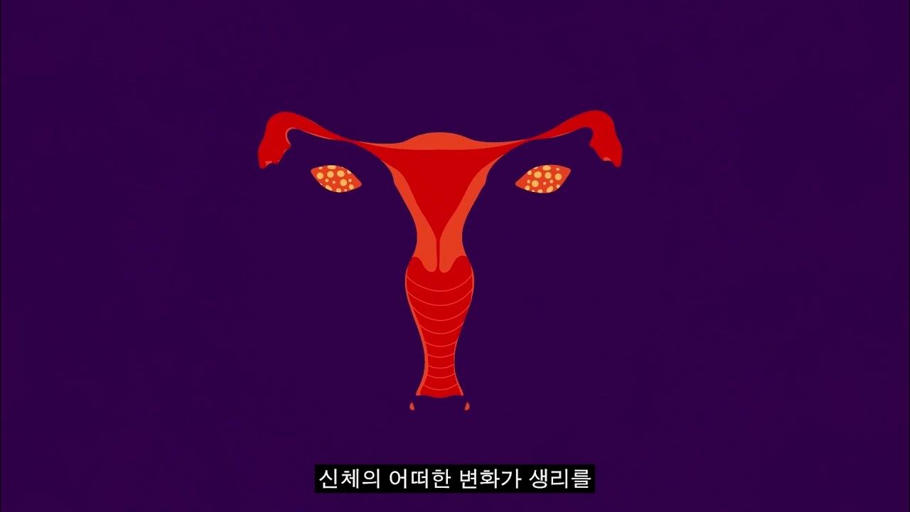 생리 (Information about Periods and Menstruation in Korean) YouTube