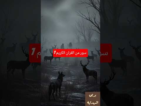 7 سور من القرآن بصور وألقابها العظيمة وفوائدها اكتشف أسرار القرآن بطريقة مرعبة ومشوقة القرآن
