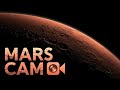 WATCH: Mars Cam Views from NASA Rover during Red Planet Exploration #Perseverance