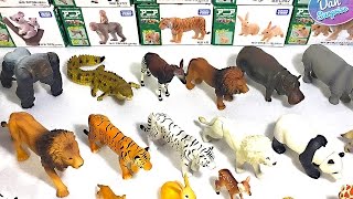 Download My Full Collection Of Animal Toys For Kids Takara Tomy - Learn Animal Names Video MP3 My Full Collection Of Animal Toys For Kids Takara Tomy - Learn Animal Names