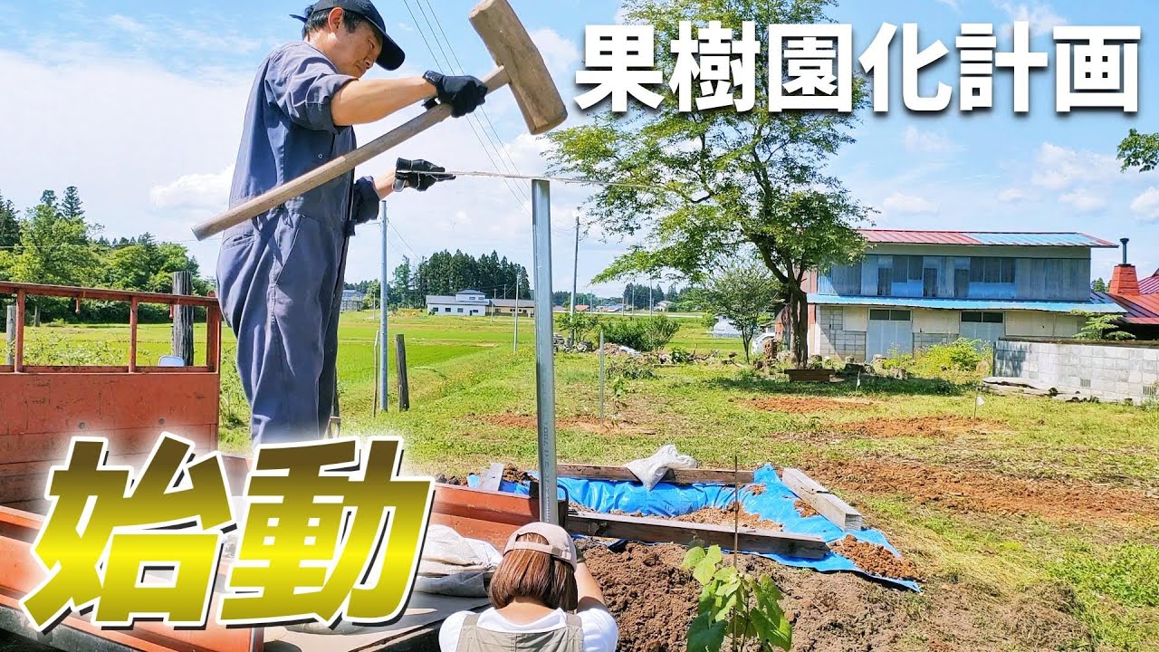 【中古】 「農」はいつでもワンダーランド 都市の素敵な田舎ぐらし/学陽書房/由木の農業と自然を育てる会 中古】 「農」はいつでもワンダーランド 都市の素敵な田舎ぐらし