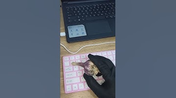 How To Press 1 with a Garlic #shorts