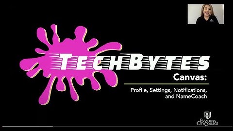 TechBytes - Canvas: Profile, Settings, Notifications, NameCoach