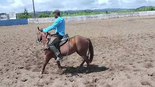 mas uma futura campeã