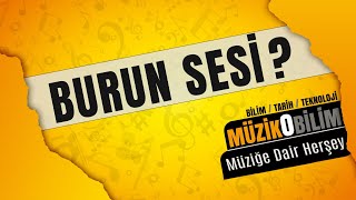 Müzikobilim - Burun Sesi?