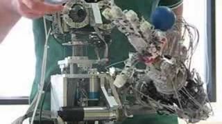 James the robot - tactile based motor control